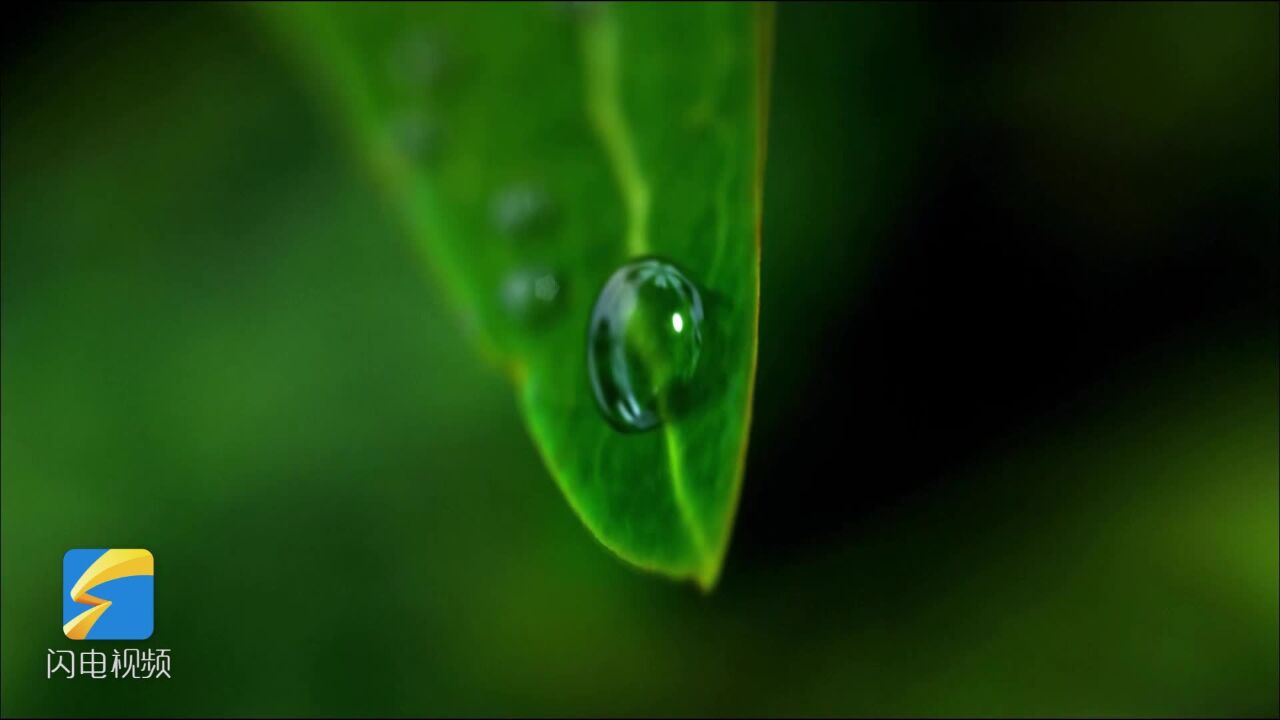 雨生百谷,滋润万物!这些山东好品正奋力生长