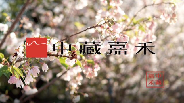 【中藏嘉禾春日篇】中藏嘉禾带您共赏独家春日画卷