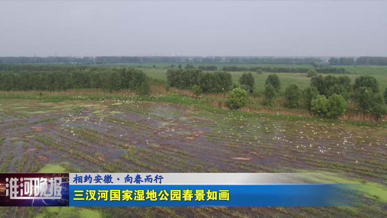 三汊河国家湿地公园春景如画