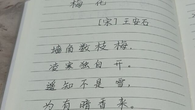 和儿子一起学习二年级古诗《梅花》