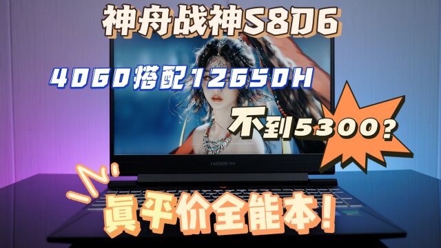 笔记本市场鲨疯了!神舟4060游戏本不到5300,平民玩家也能畅玩3A