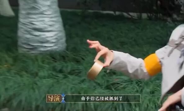 白鹿被抓后一秒入戏