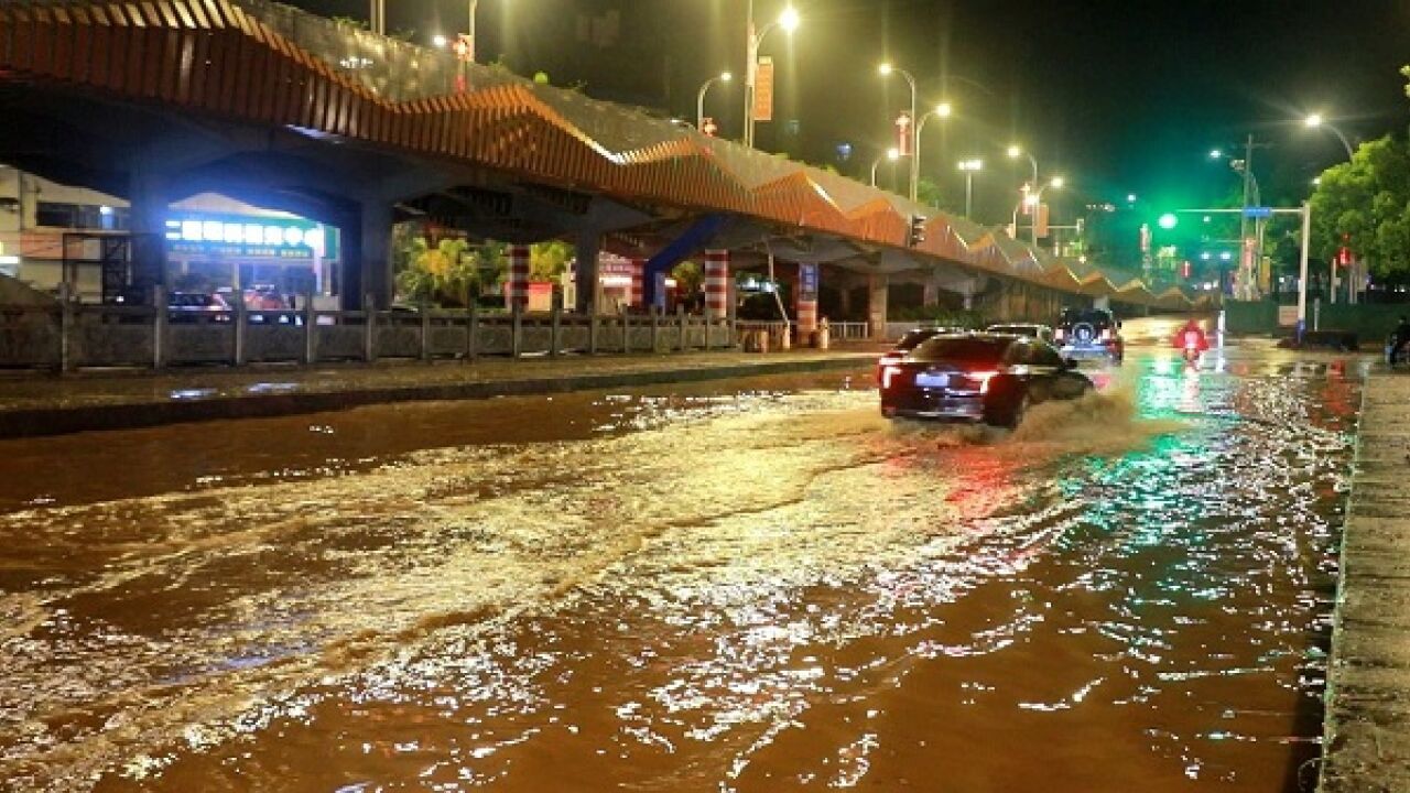 新田:遭遇暴雨袭击 多处路段积水树木倒伏