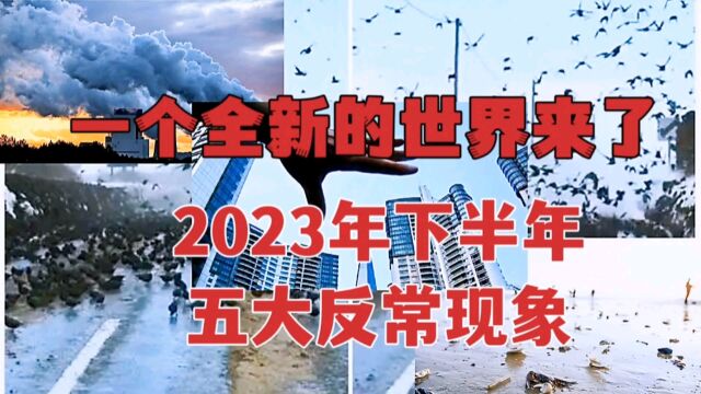 2023年下半年,将出现5大反常现象,老兵们提前做好准备,后果严重