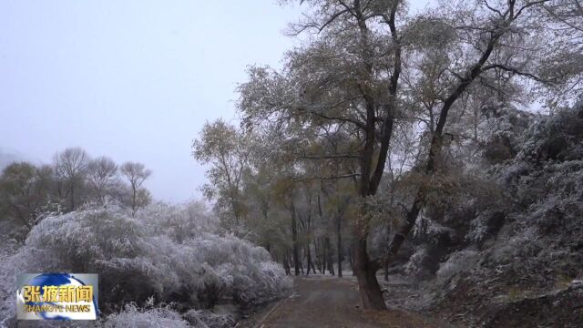 【视频】张掖市肃南民乐等地迎来降雪天气