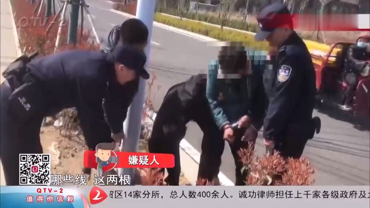 盗割路灯电缆近万米,涉案200余万元!4人作案时被青岛警方抓住!