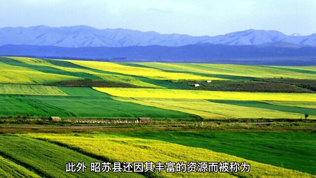 今日景点推荐:昭苏,天马故乡,感受令人向往的天堂美景.