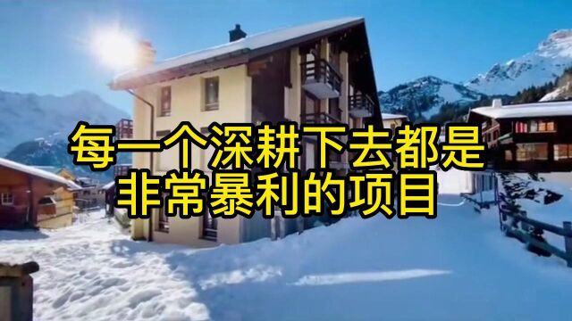 笨人总比聪明人更容易赚到钱【中集之二】