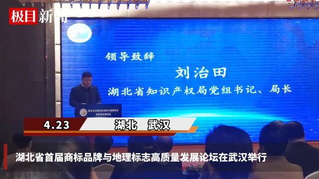 【视频】湖北省首次举办商标品牌与地理标志高质量发展论坛