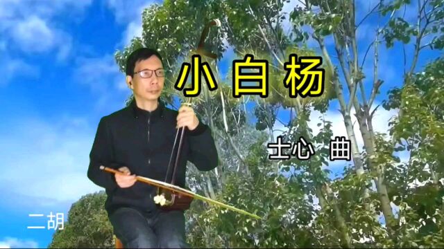 一棵呀小白杨长在哨所旁二胡演奏