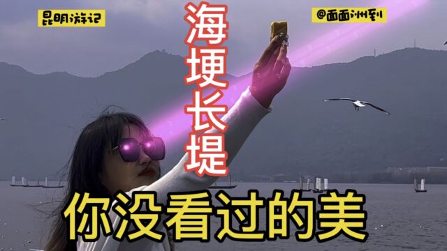 昆明十里长堤,滇池西山睡美人红嘴鸥以及如潮人流,一幅生动画卷