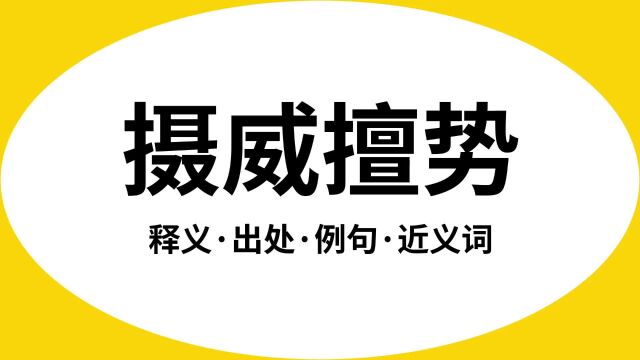 “摄威擅势”是什么意思?