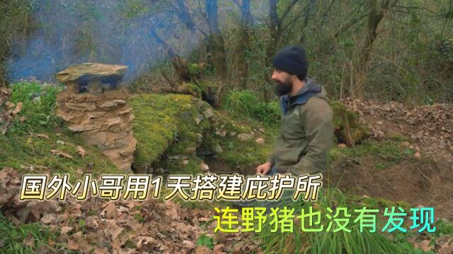 国外小哥搭建的隐蔽庇护所,和环境融为一体,连野猪也无法发现