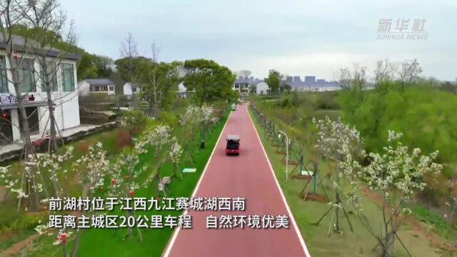 前湖村的“新田园梦”