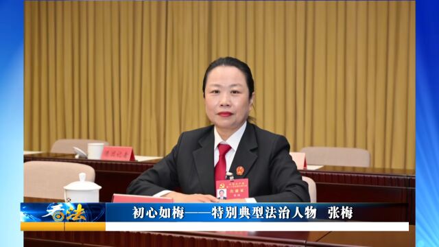 【河北省2022年度＂法治三个十＂一一法治人物】初心如梅——特别典型法治人物 张梅