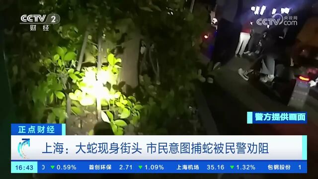 上海:大蛇现身街头 市民意图捕蛇被民警劝阻