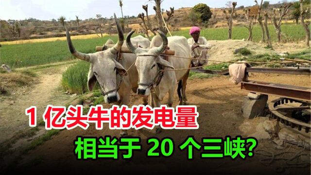 1亿头牛发电量能抵20个三峡?环保又高效,牛力发电真靠谱吗?