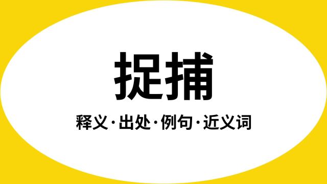 “捉捕”是什么意思?