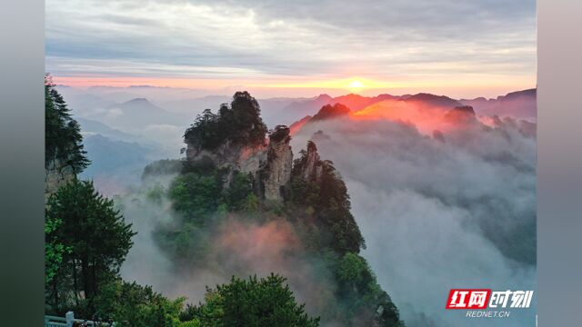 张家界:武陵源天子山景区云海景观 水墨画境