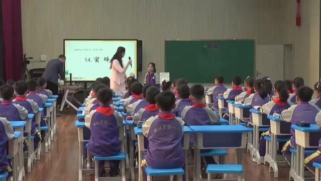 【新课标示范课】蜜蜂 教学实录 三下(含课件逐字稿) #蜜蜂