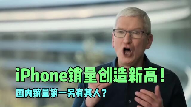 iPhone销量创造新高!国内销量第一另有其人?