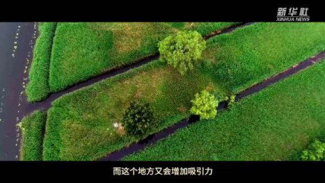 习近平这样擘画“未来之城”