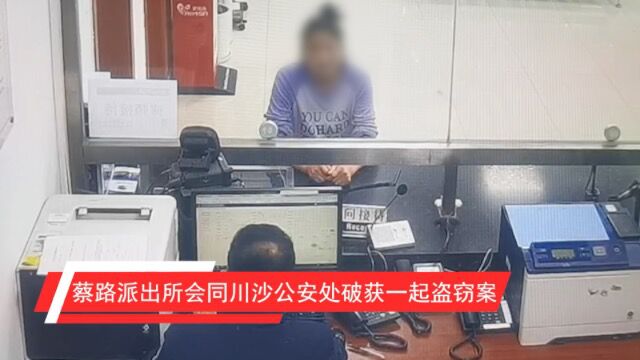 川沙公安处会同蔡路派出所破获一起盗窃案