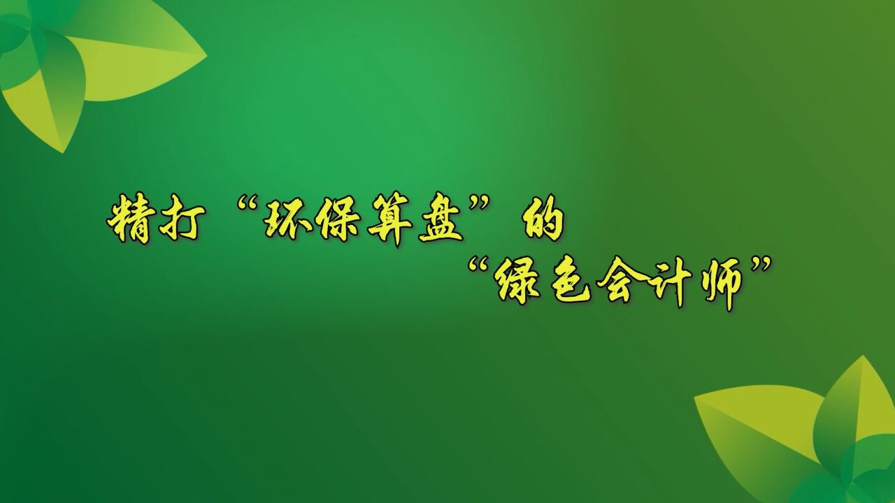 全球连线丨(让“老外”惊“碳”的绿色职业)精打“环保算盘”的“绿色会计师”