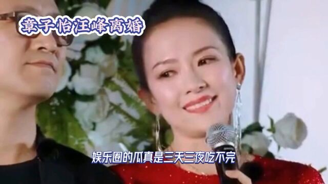 章子怡汪峰离婚?离婚原因与财产分配曝光