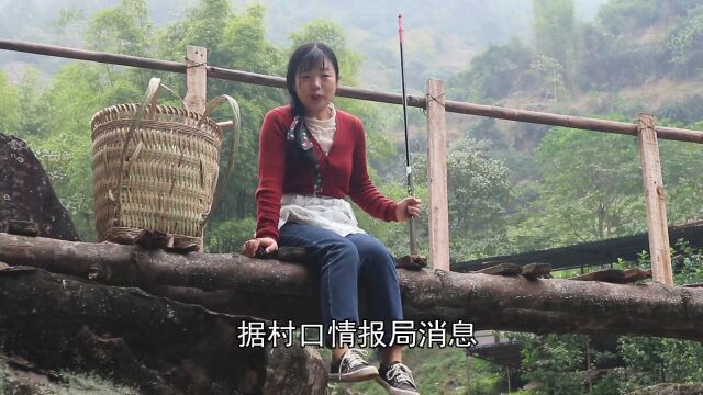 山里小河沟能钓到石斑鱼,1斤能卖100多元,猜猜我今天钓了多少?