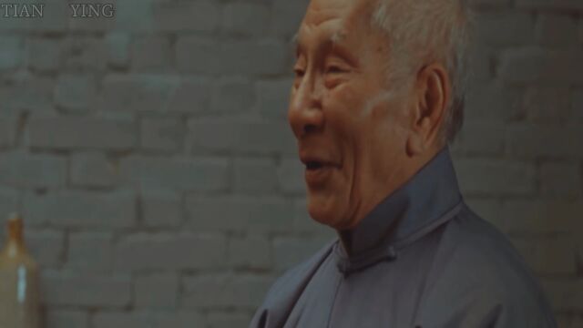 著名武术家梁赞先生之子梁壁教叶问打拳