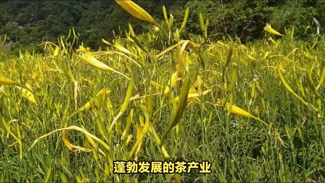 四川皇家山景区:黄花天子曾计划在此建立皇城