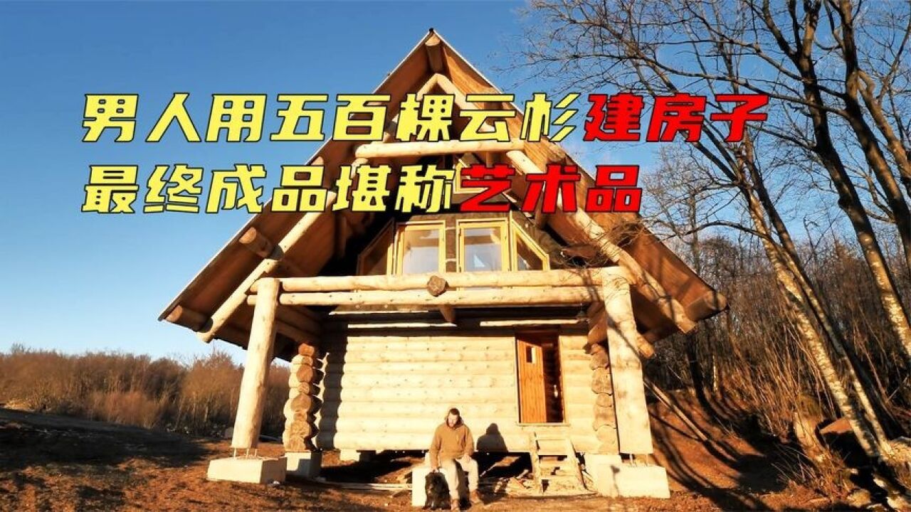 木屋建造天花板,五百棵云杉建房子,令网友直呼艺术品