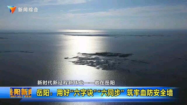 岳阳:用好“六字诀”“六同步” 筑牢血防安全墙