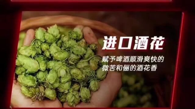 海参肽精酿啤酒:喝了不上头,让你回味无穷