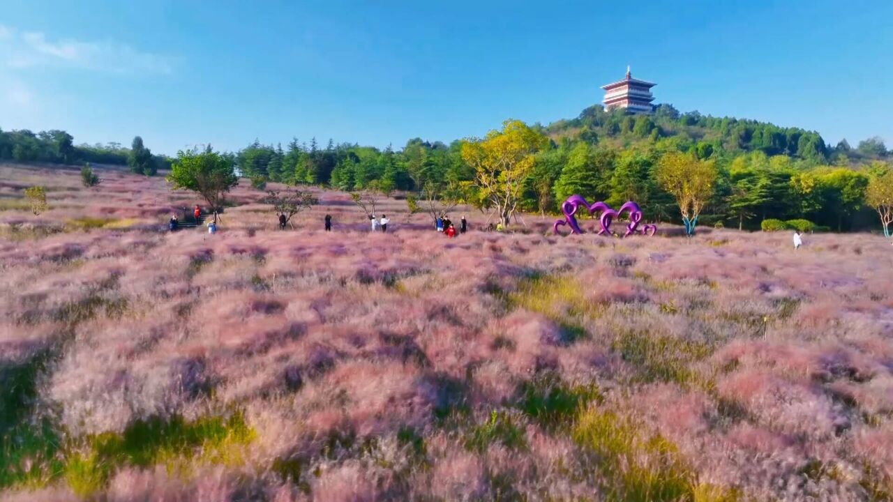 航拍枣庄大地深秋美景 层林尽染五彩斑斓