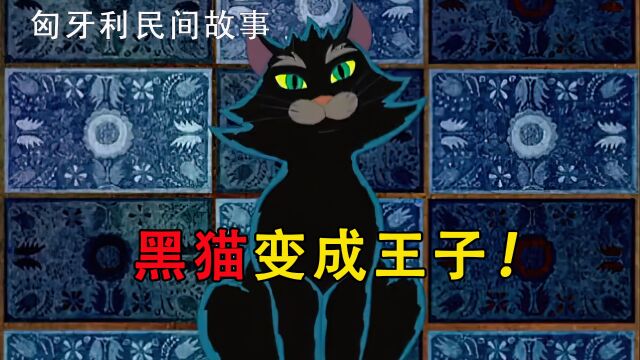 匈牙利民间故事,王子受到城堡诅咒变成一只黑猫