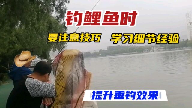 钓鲤鱼时,要注意技巧,学习细节经验