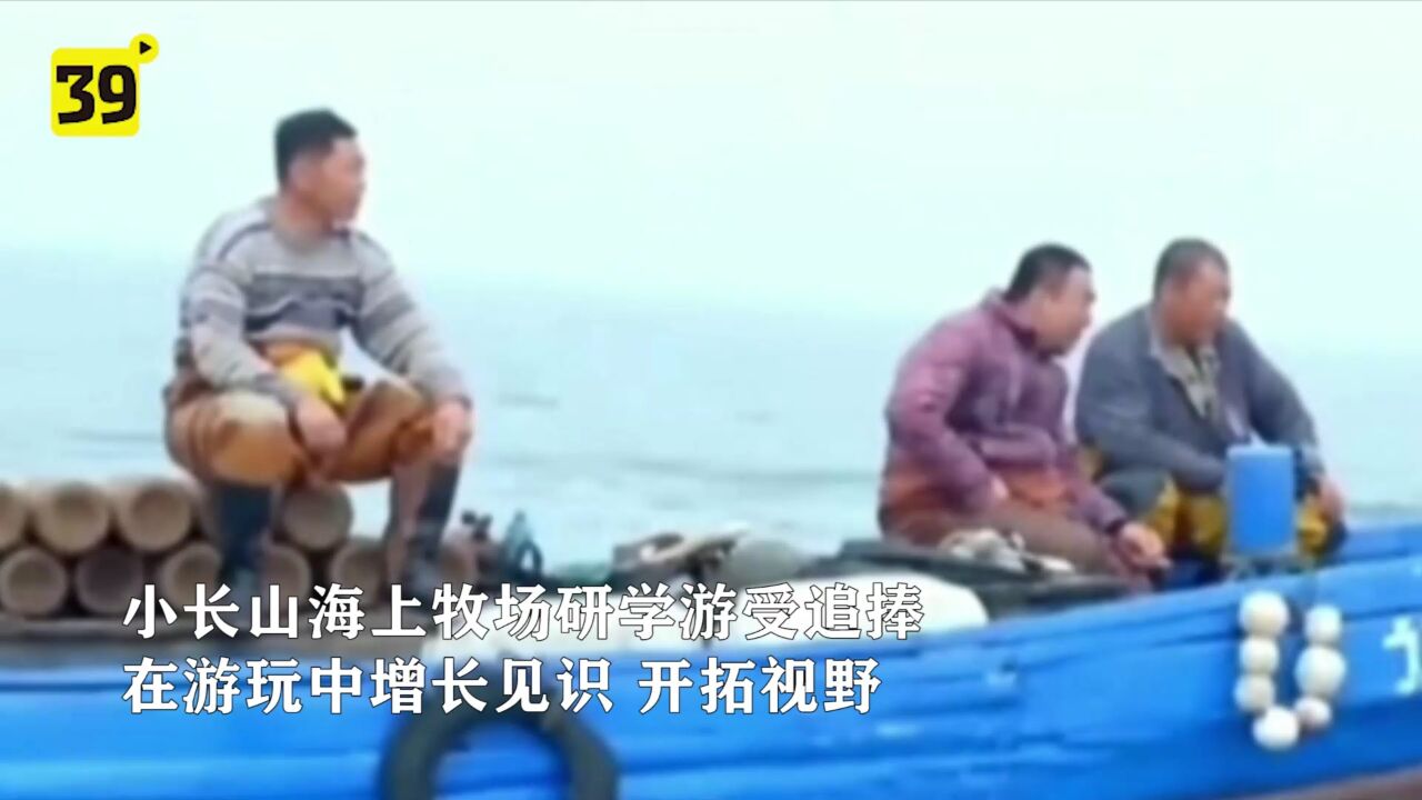 小长山海上牧场研学游受追捧