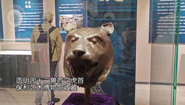 Video|The five bronze Chinese zodiac animal heads reunited in the Old Summer Palace