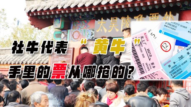 社牛代表“黄牛”,手里的票从何而来?该不该抵制黄牛票?