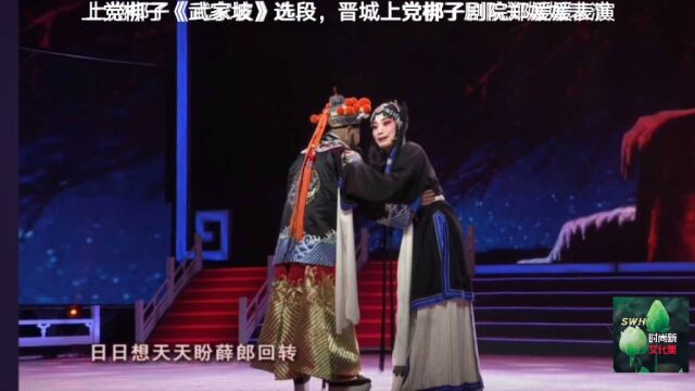 上党梆子《武家坡》选段,上党梆子青年演员郑媛媛演唱