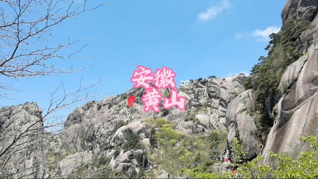 黄山鳌鱼峰,为黄山三十六小峰之首.