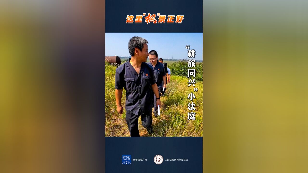 耕旅同兴小法庭