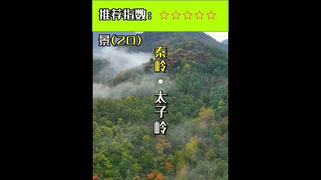 留坝太子岭位于中国陕西省留坝县,是一座以太子岭为主体的自然风景区.