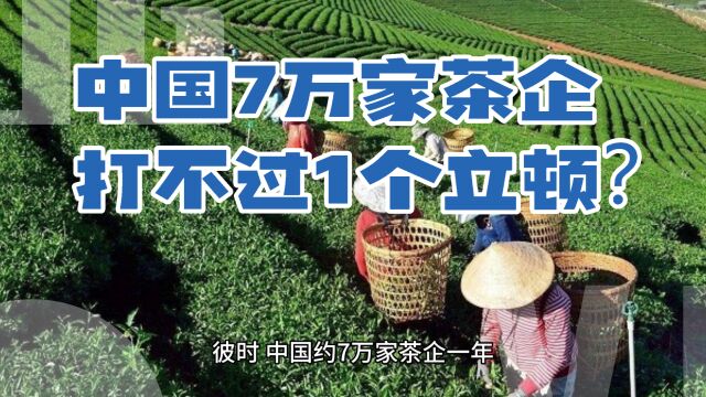 林友清:品牌案例之“中国7万家茶企为何不敌一个立顿?”