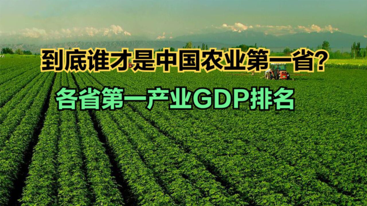 2023前三季度各省第一产业GDP排名:河南第3,山东第2,第一没想到