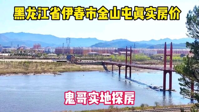 黑龙江省伊春市金山屯区真实房价,鬼哥实地探房现场谈价纪实拍摄