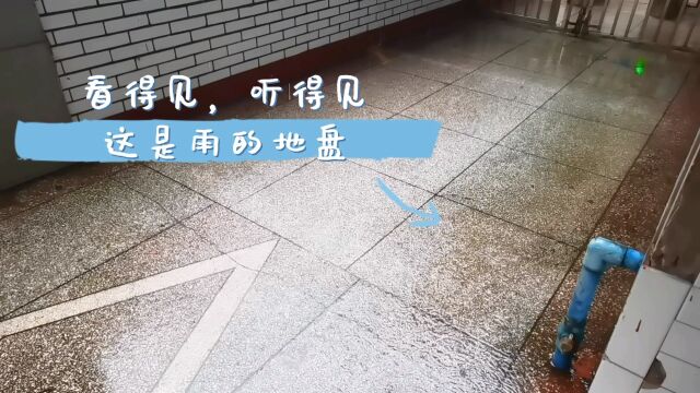 看得见,听得见——这是雨的地盘(又一场暴雨降临达州)