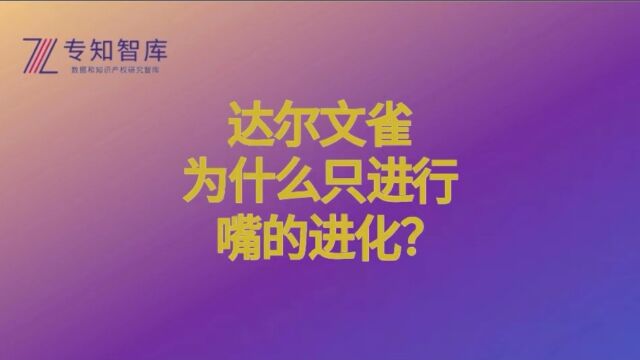 达尔文雀为什么只进行嘴的进化